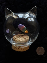 Pop-in-Pus Whisker Jar (large)